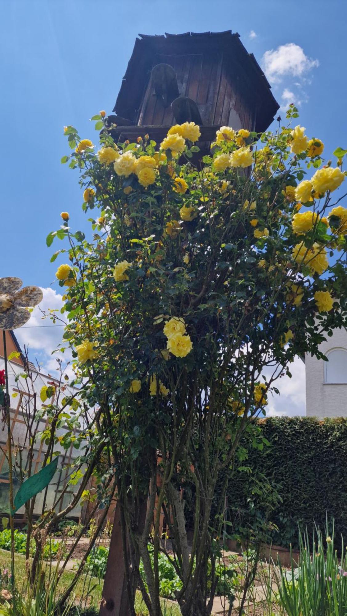 Ferienwohnung Wiesental 89331 Burgau, Wiesentalstrasse 1 Dış mekan fotoğraf